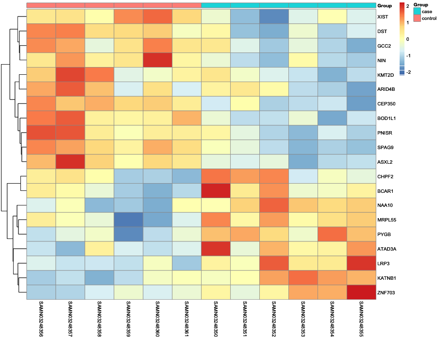 Heatmap image