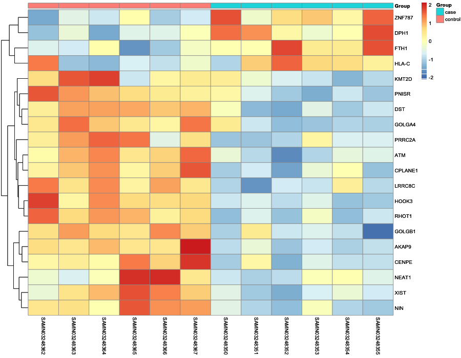 Heatmap image