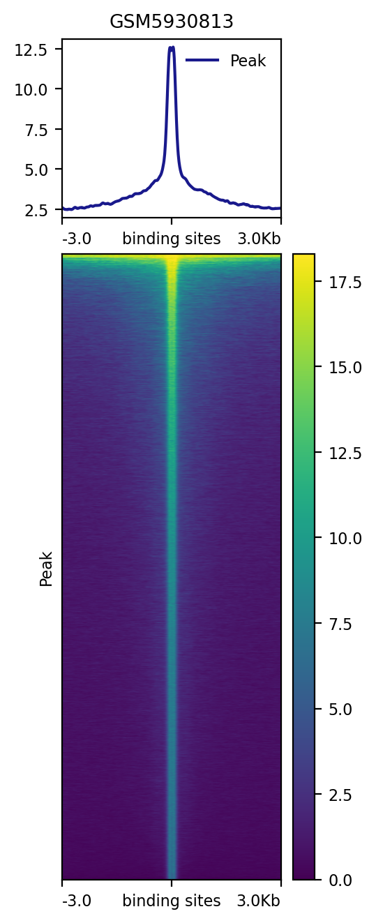 GSM5930813